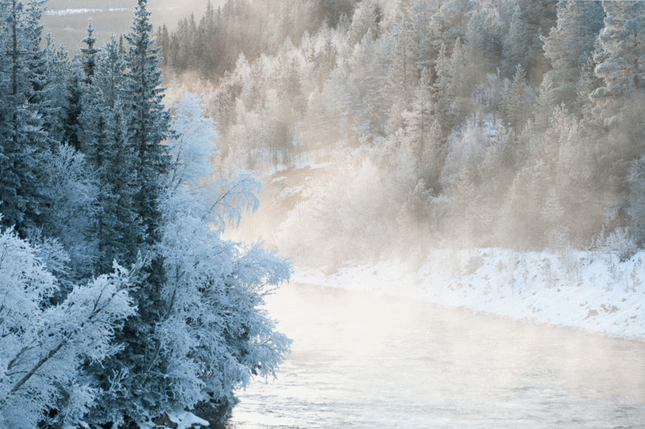 Cold mist over river